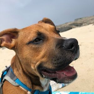 Meet your Posher, Taylor